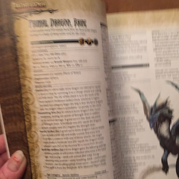 Pathfinder roleplaying game book #1 - Picture 9 of 17